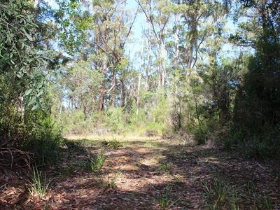 Land Off Steeles Road, Nicholls Rivulet