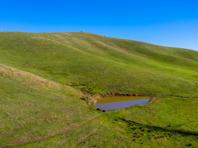 1209 Tallangatta Creek Road, Tallangatta Valley