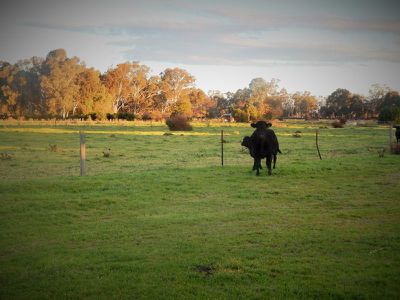 00 Benjeroop Murrabit Rd - Henry Lane, Benjeroop
