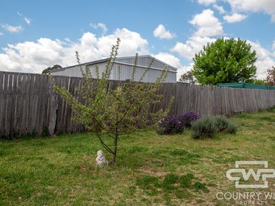1 O'Keefe Lane, Glen Innes