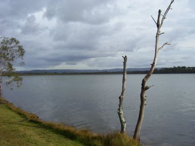 Dora Creek