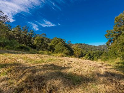 399 Bishops Creek Road, Coffee Camp