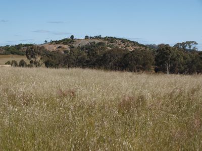 Lot Lot 1 LP207709, WEDDERBURN JUNCTION EAST ROAD, Fiery Flat