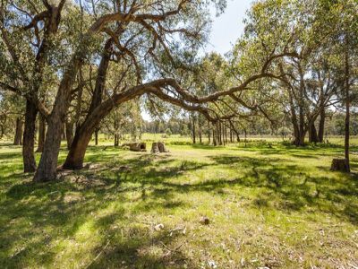 113 Whalans Track, Lancefield