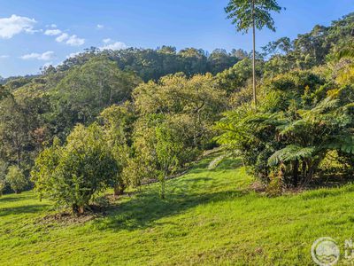 45 Geles Road, Upper Burringbar