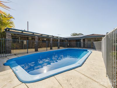 8 Dillenia Way, Greenwood