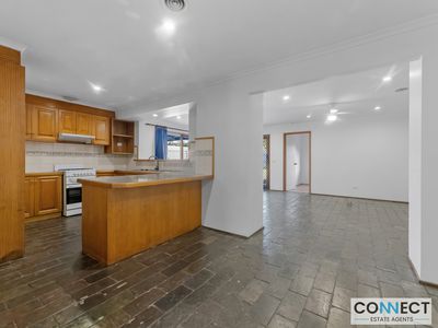 10 Hindmarsh Court, Cranbourne North