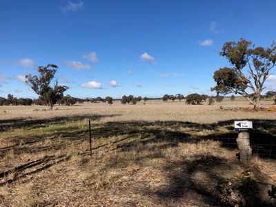 Lot 1, 4000 Korong Vale-Wychitella Road, Woolshed Flat