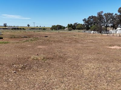 2200B Newell Highway, Tichborne