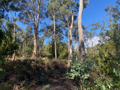 Lot 1 off Dam Road, Saltwater River