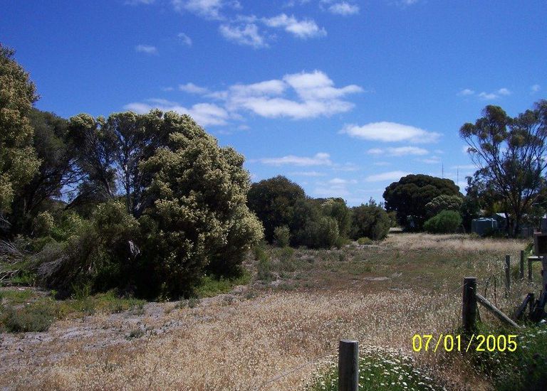 48 Scarlet Runner Road, The Pines