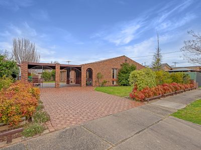 11 Oleander Court, Wodonga