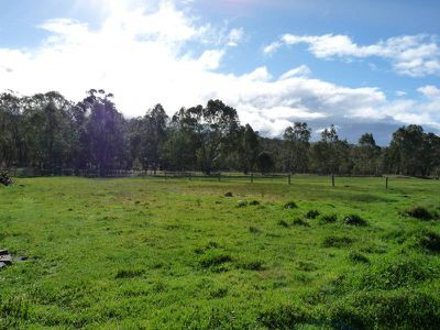 85 Coleraine Road, Horsham