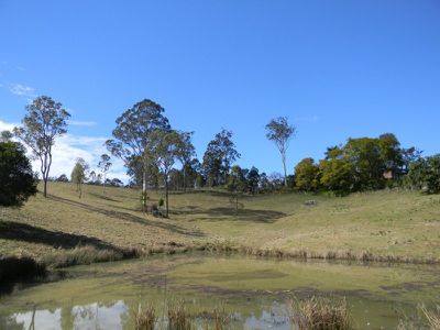 Maleny