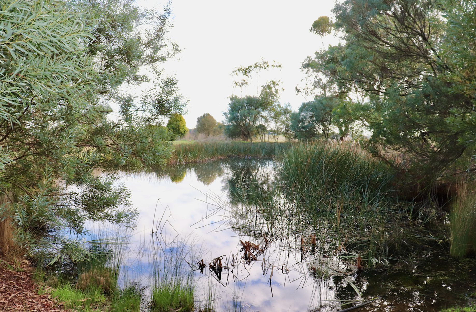 Fords Outlet Road, Deans Marsh