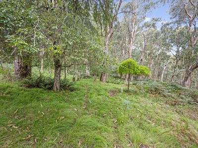 62 Shane Lane, Tolmie