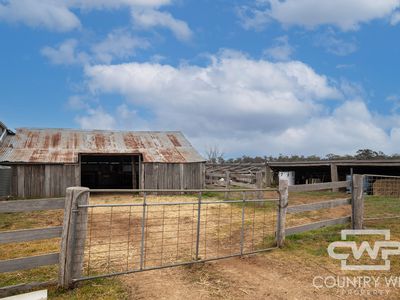 Lot Plain View, 916 Emmaville Road, Glen Innes