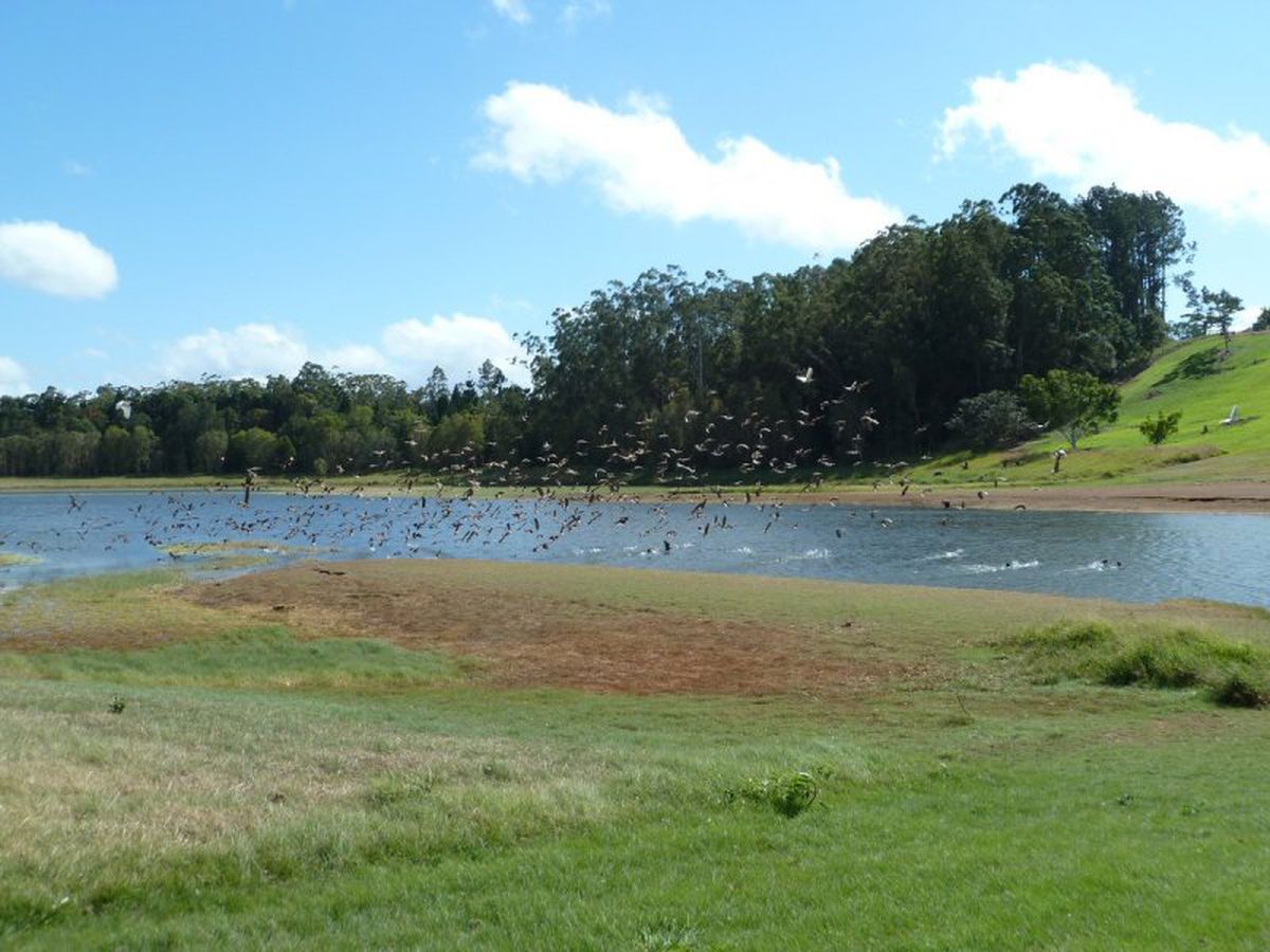Yungaburra