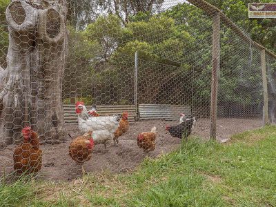 12 Mary Street, Hazelmere