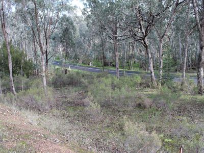 LOT 54 WARROWITUE-FOREST ROAD, Heathcote