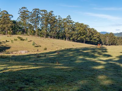 Lot 2 Sledge Hill Road , Glendevie