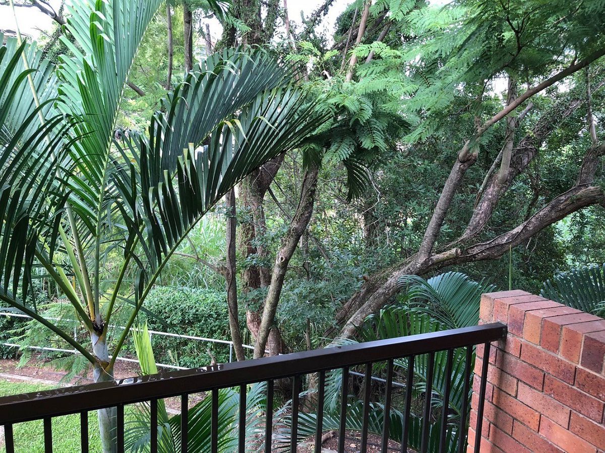 10 / 49 Bishop Street, St Lucia