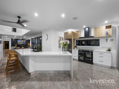 44 Stuart Street, North Ward