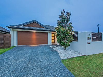 17 Higgs Circuit, Wynnum West