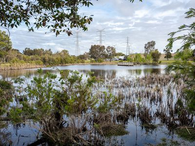 12 Placid Court, South Lake