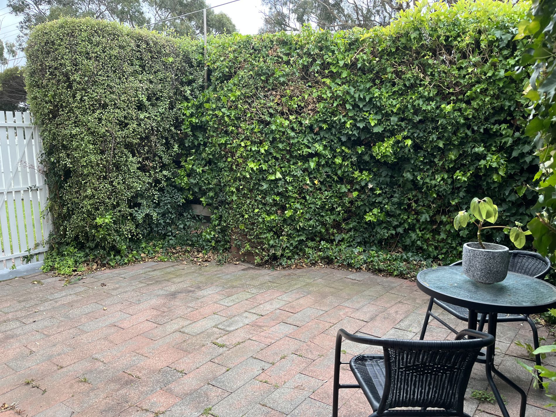 1 / 216 McKillop Street, East Geelong