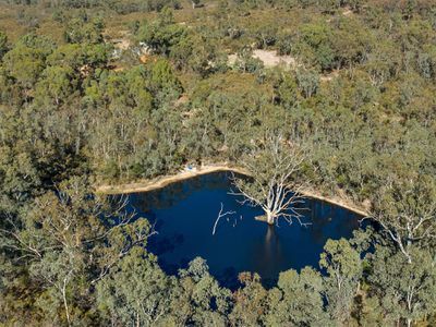 110 BASSETT LANE, Hilldene