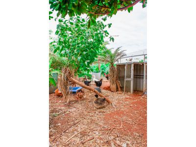23 Acacia Way, South Hedland