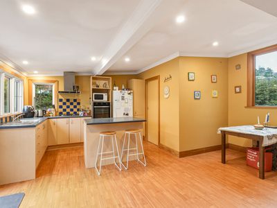 22 Bouverie Street, North East Valley