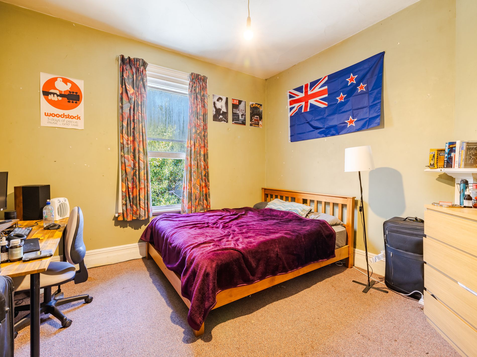 473 Great King Street, North Dunedin