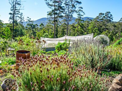 634 Tobys Hill Road, Cygnet