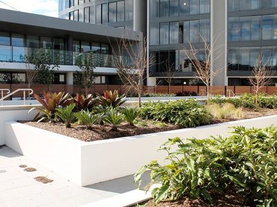 708 / 1 Park Street North, Wentworth Point