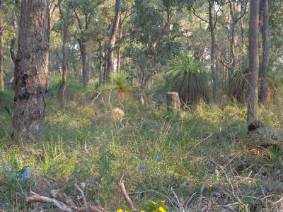 350 Robinson Road, Mahogany Creek