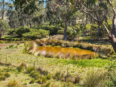 330 Sugarloaf Road, Carlton River