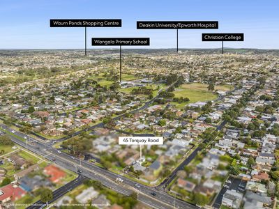 45 Torquay Road, Belmont