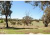 142 Darcy Brown Place, Orange