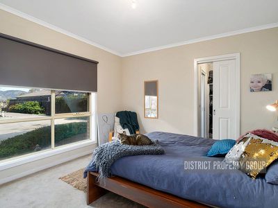 2 / 10 Redgum Drive, Mansfield