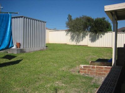 Blackbutt