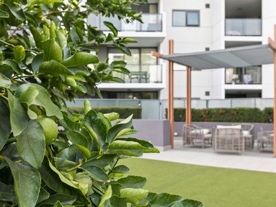 129 / 1 Rowe Avenue, Rivervale