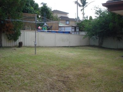 Mount Warrigal