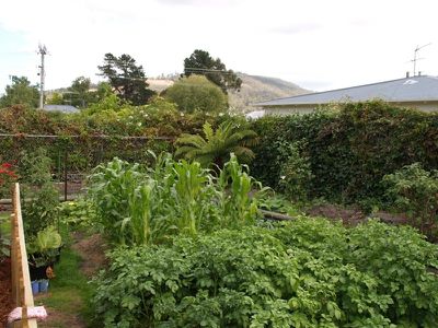 123 Main Street, Huonville