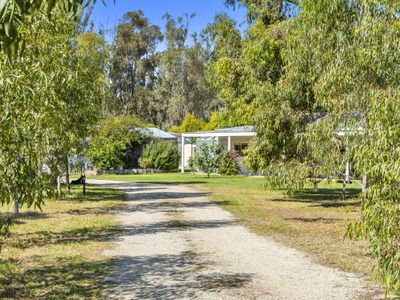 1149 Woolshed Road, Tocumwal