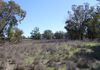 366 Mercadool Lane, Bogan Gate