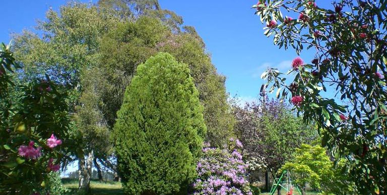 Watkins Road, Strathbogie