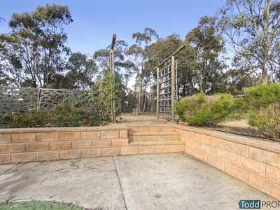 23 Braeside Drive, Junortoun