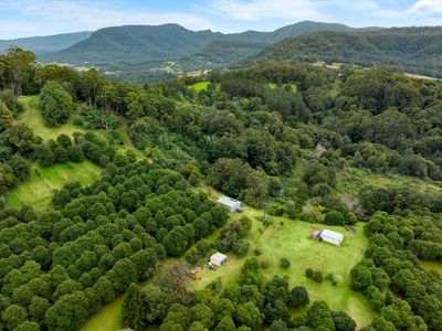 1005 TUNTABLE CREEK ROAD, Nimbin